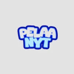 PelaaNyt logo